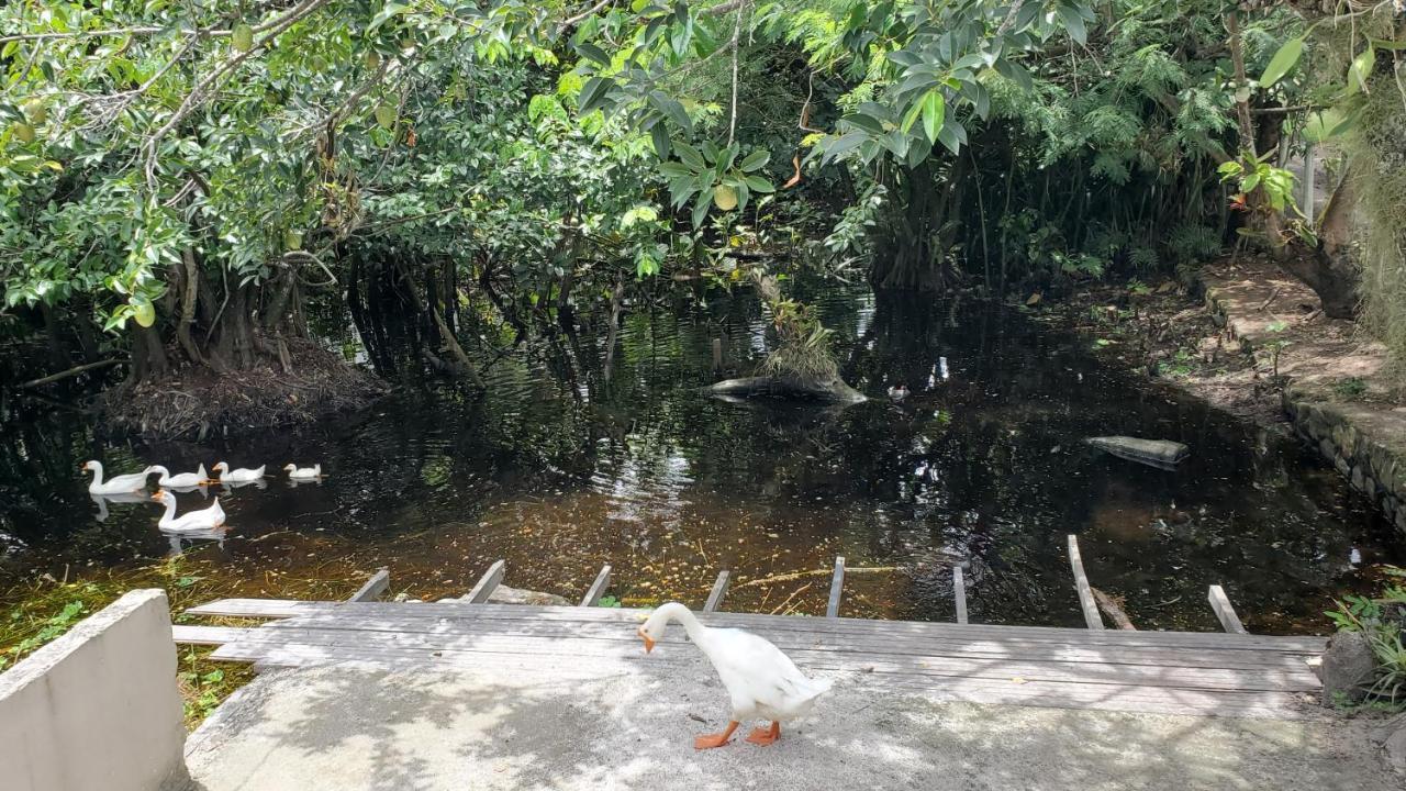 Casa Da Lagoa Πόρτο Σεγκούρο Εξωτερικό φωτογραφία